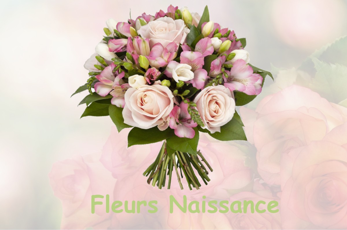 fleurs naissance FLINES-LES-MORTAGNE